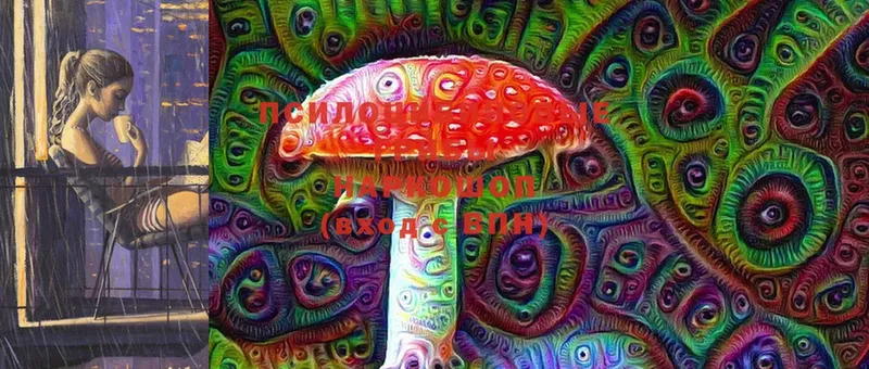 Галлюциногенные грибы Psilocybe  Нововоронеж 